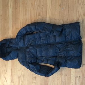 Uniqlo Down Puffy Jacket